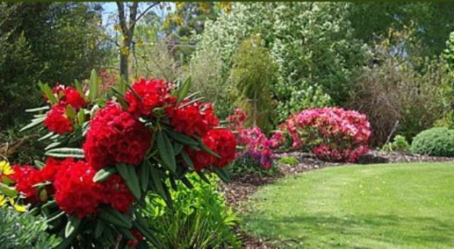 Tui Lodge Turangi Bagian luar foto